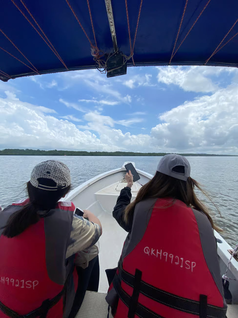 Nomadic Nature: Kuching Wetlands Wildlife Cruise