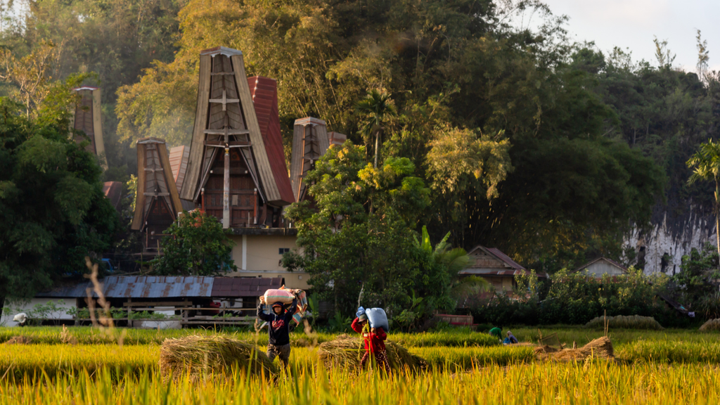 Nomadic Toraja Escape 5D4N