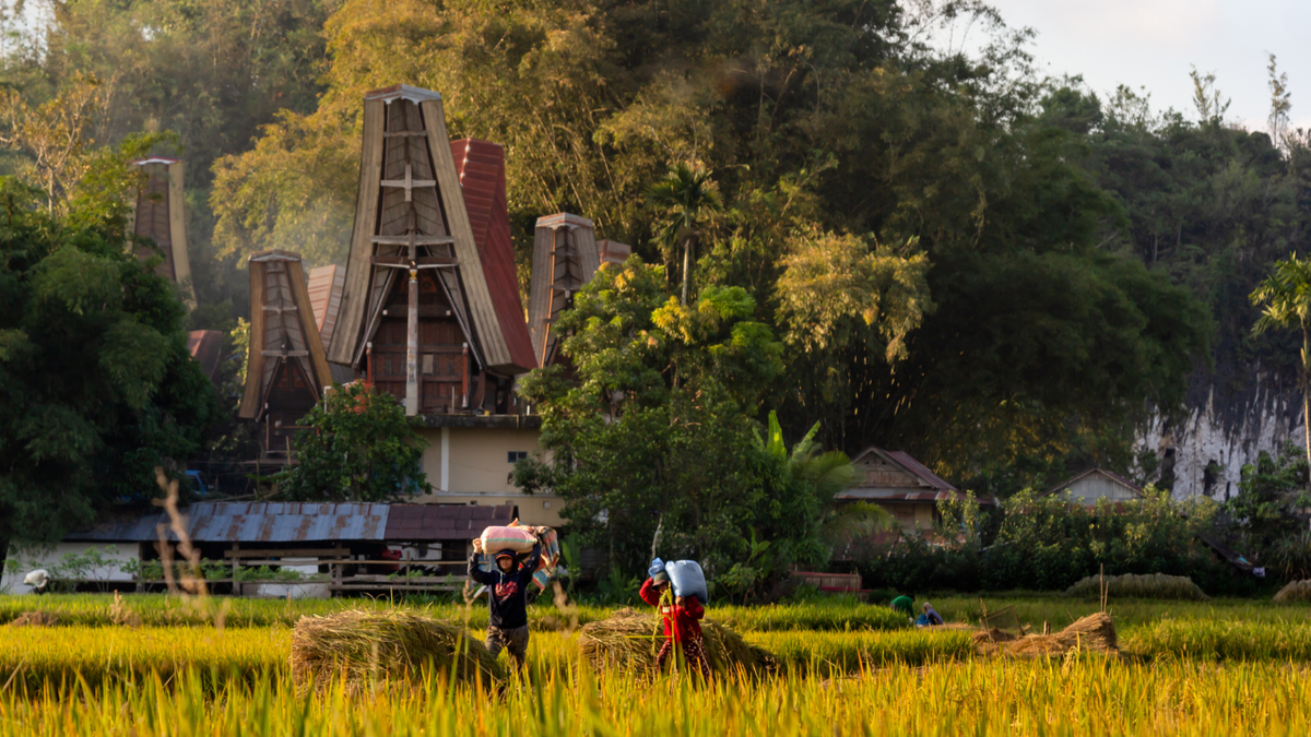 Nomadic Toraja Escape 5D4N