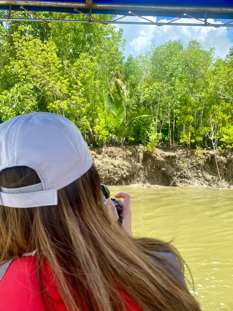 Nomadic Nature: Kuching Wetlands Wildlife Cruise