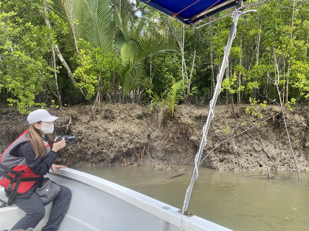 Nomadic Nature: Kuching Wetlands Wildlife Cruise